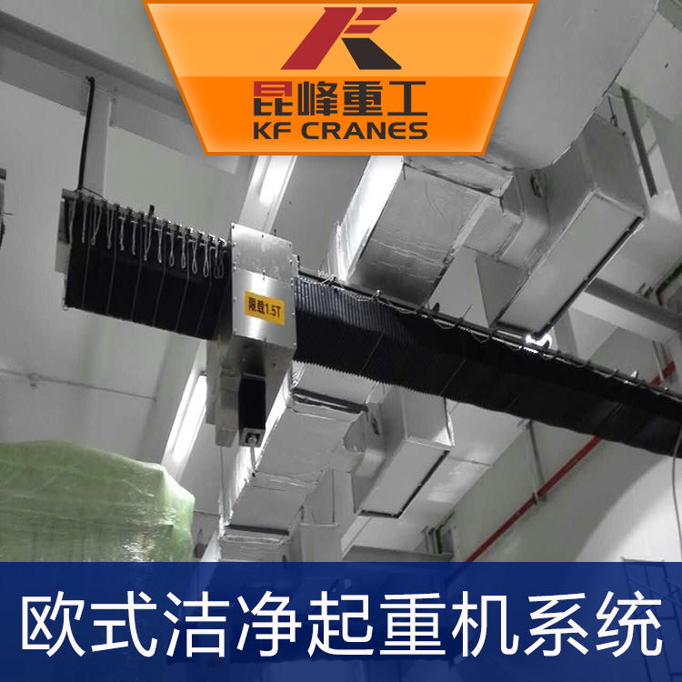 欧式洁净起重机系统