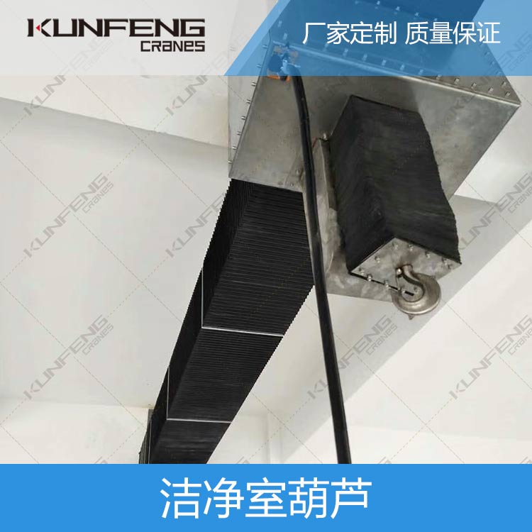 广东洁净起重机
